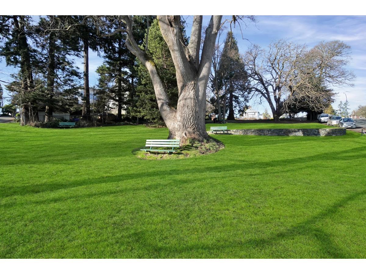 707 Esquimalt Rd - Photo 3