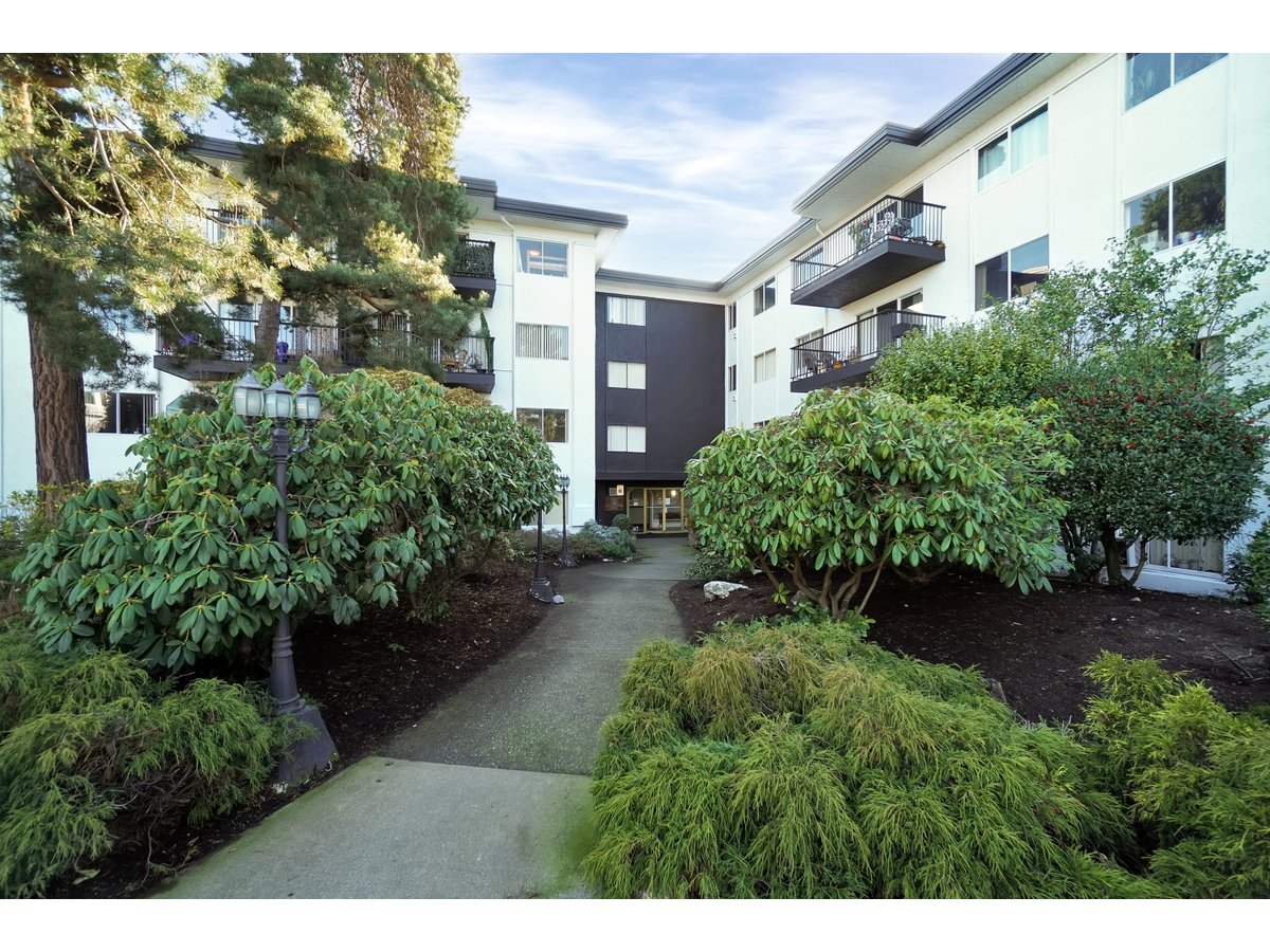 707 Esquimalt Rd - Photo 4