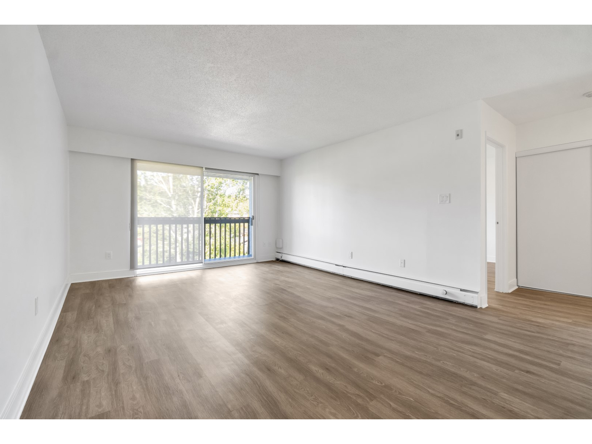 3868 Shelbourne St - Photo 11