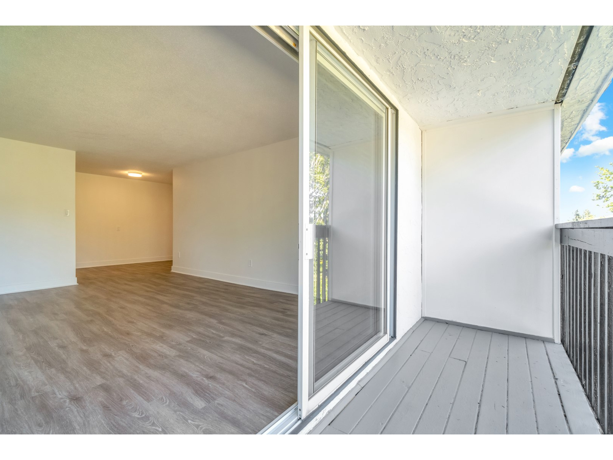 3868 Shelbourne St - Photo 13