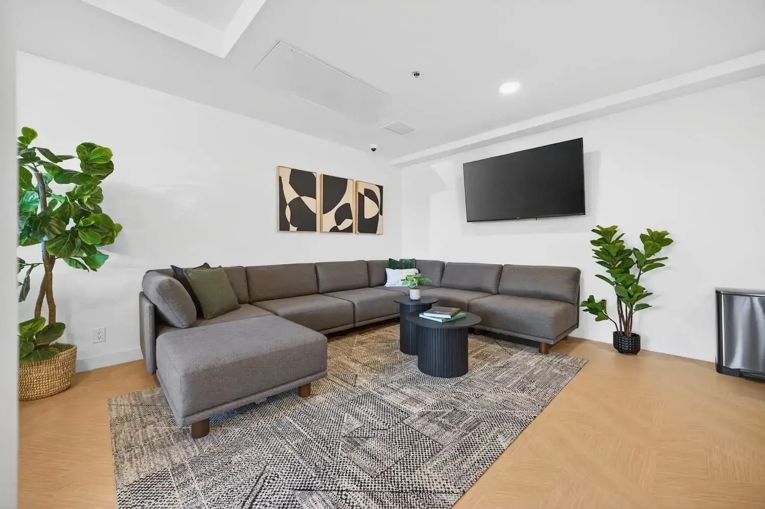 KENTON FLATS - 95% Leased - 4 units remaining - Photo 63