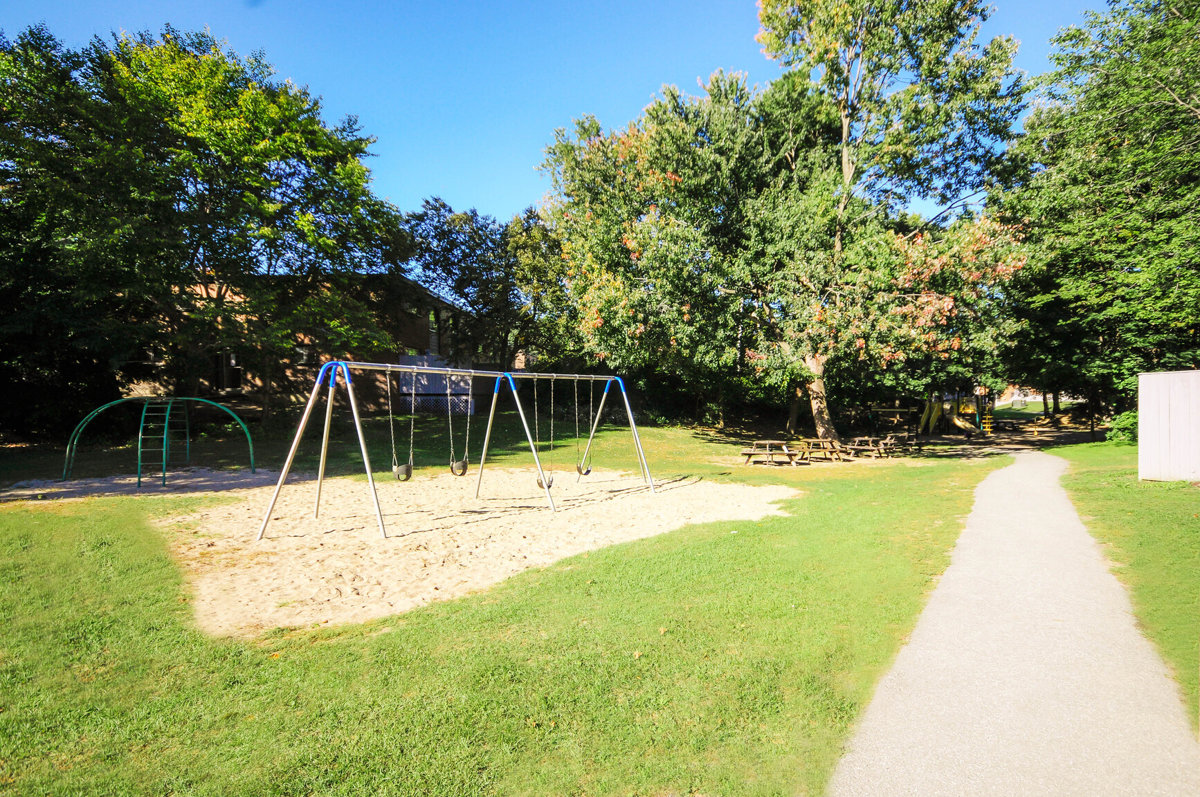 Forest Ridge - Photo 17