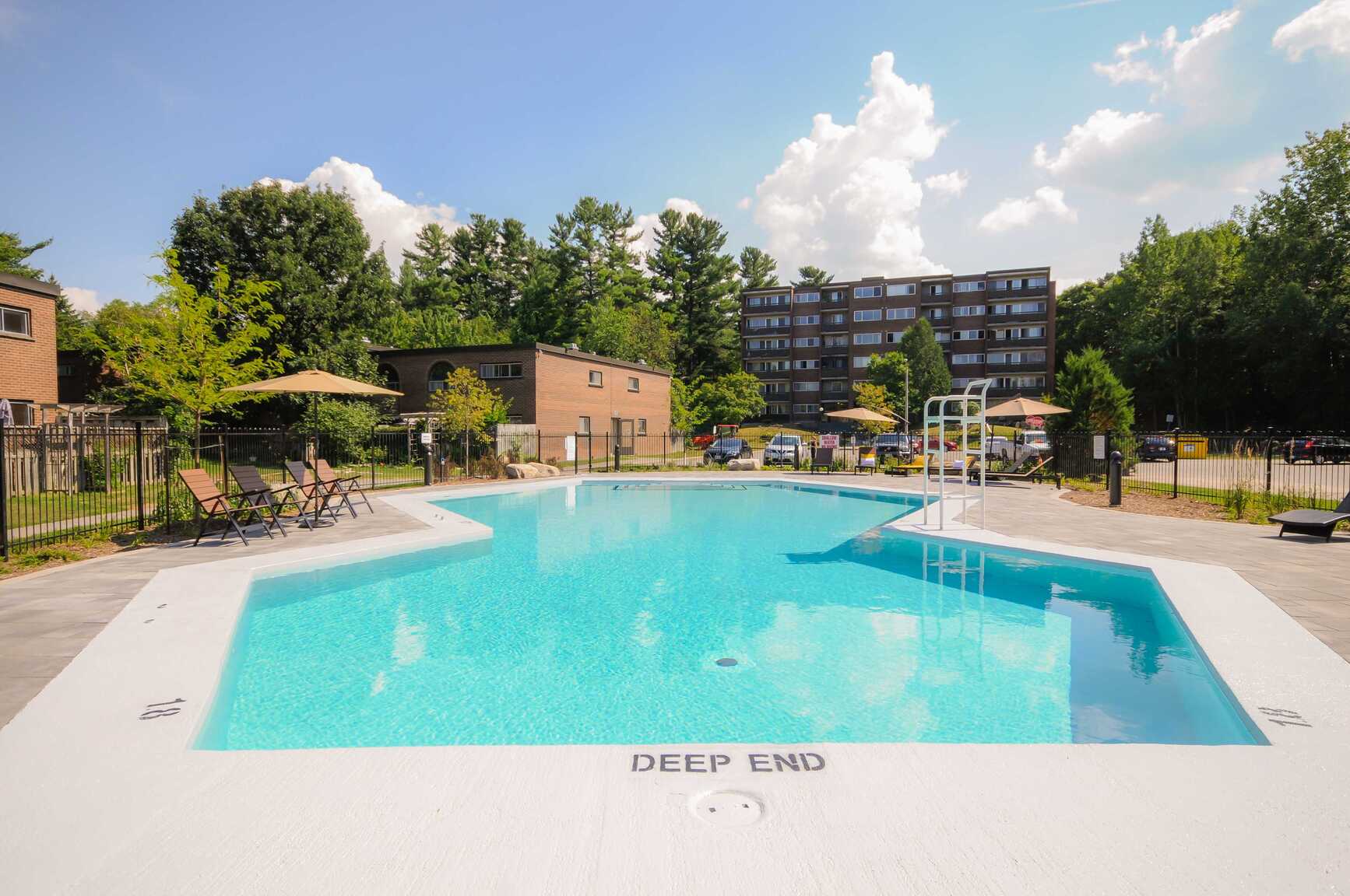 Forest Ridge - Photo 16