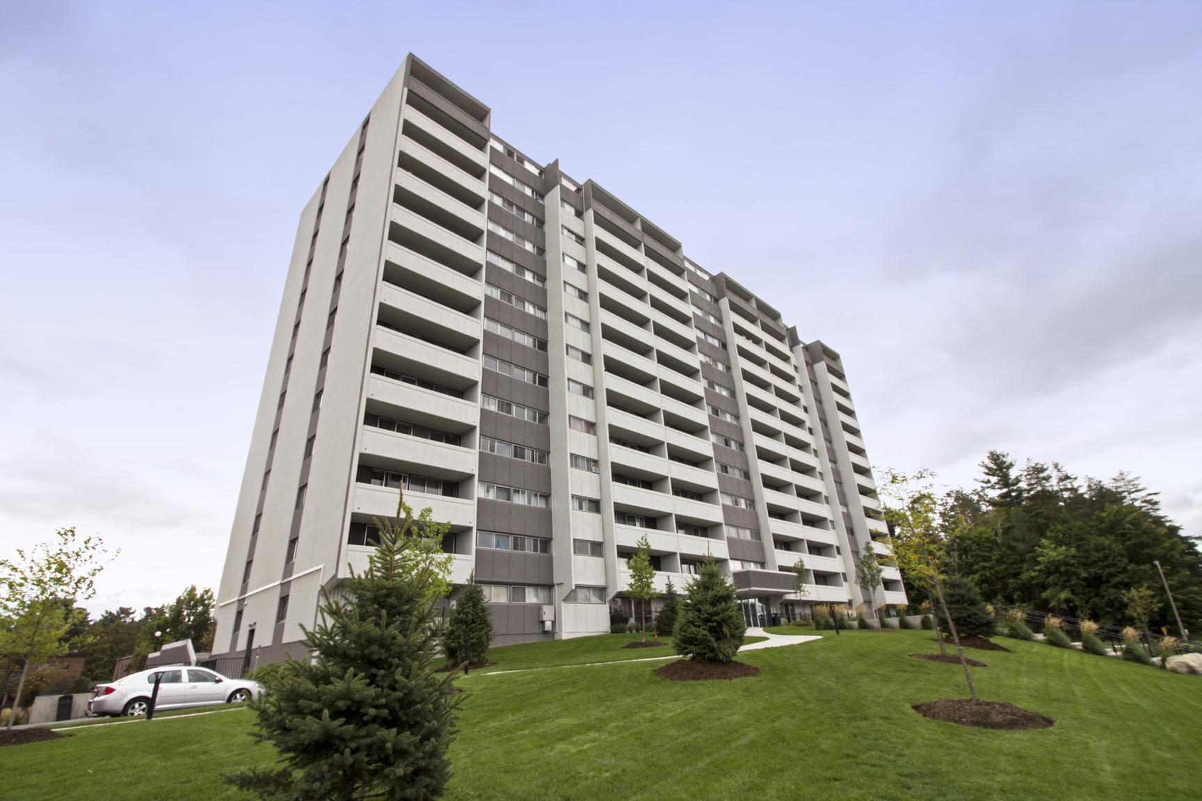 Forest Ridge - Photo 18