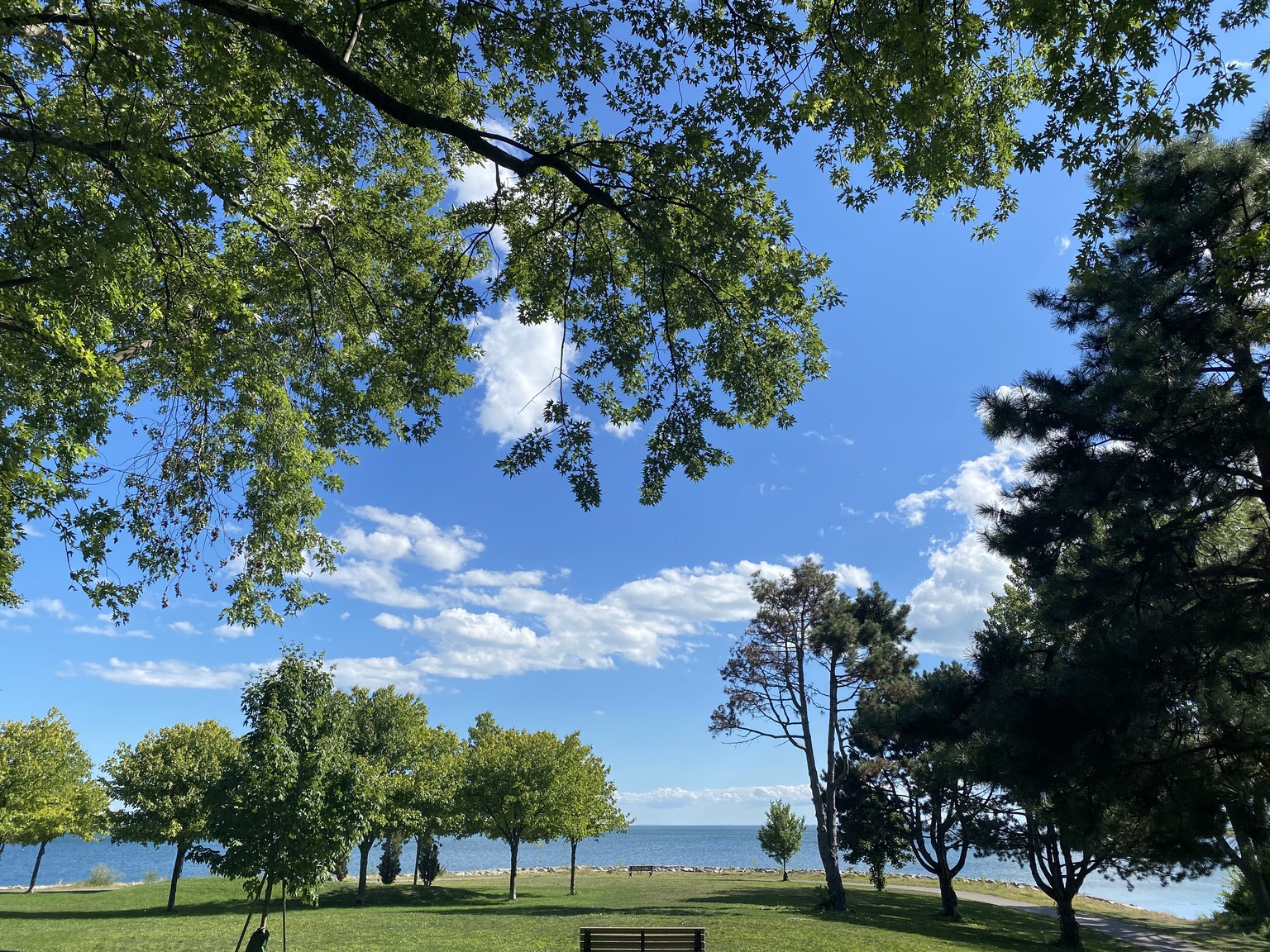 155 Lake Shore - Photo 7