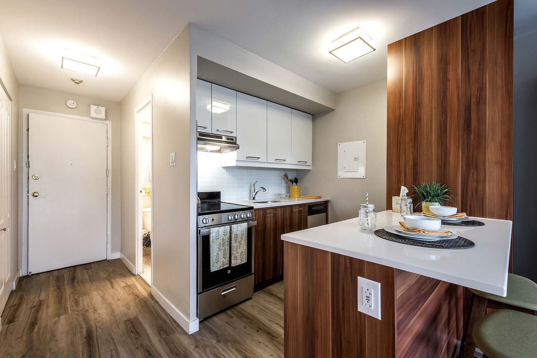3655 Papineau - Photo 2