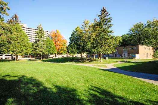 Forest Ridge - Photo 20