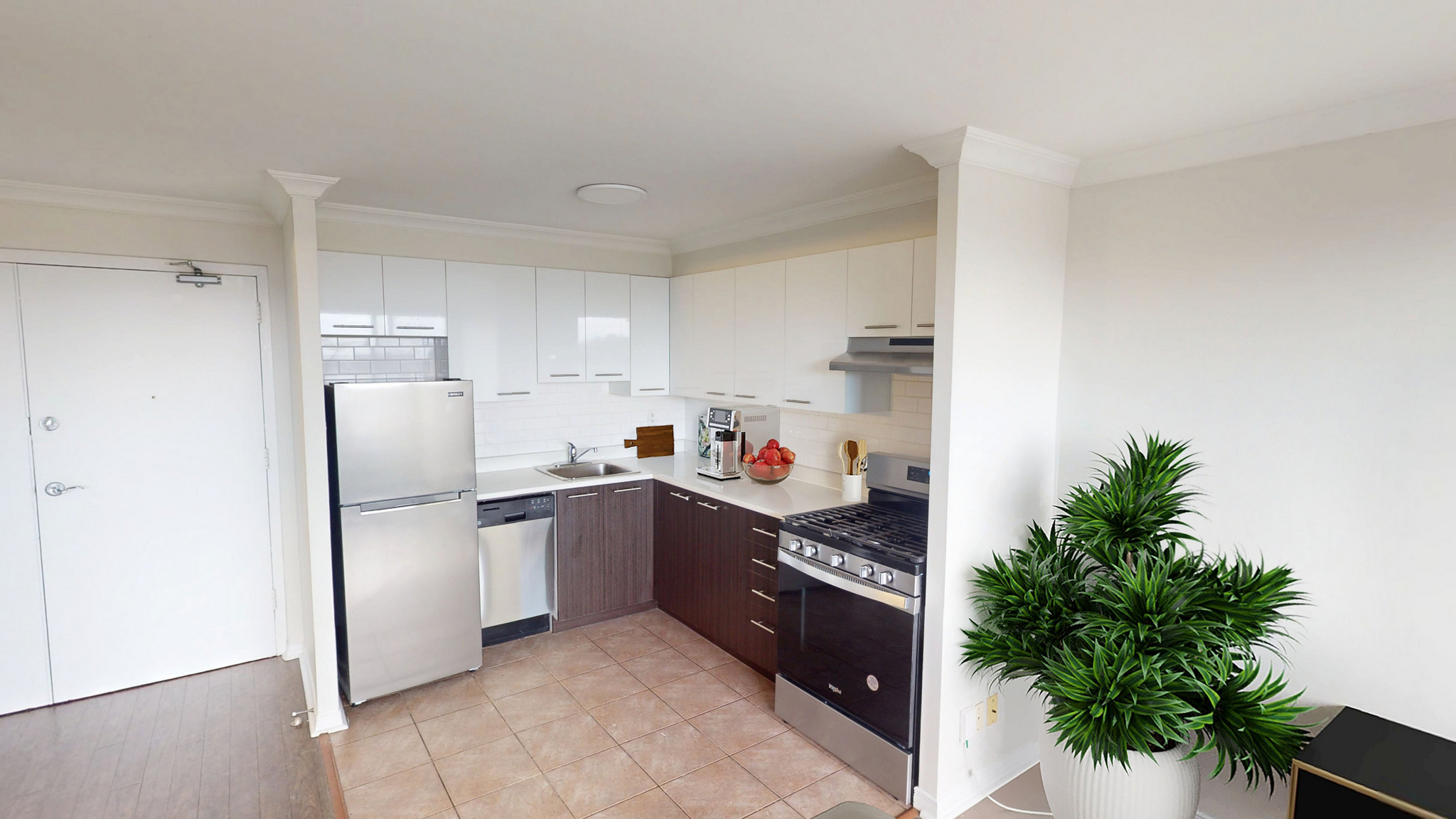 341 Flora - Photo 9