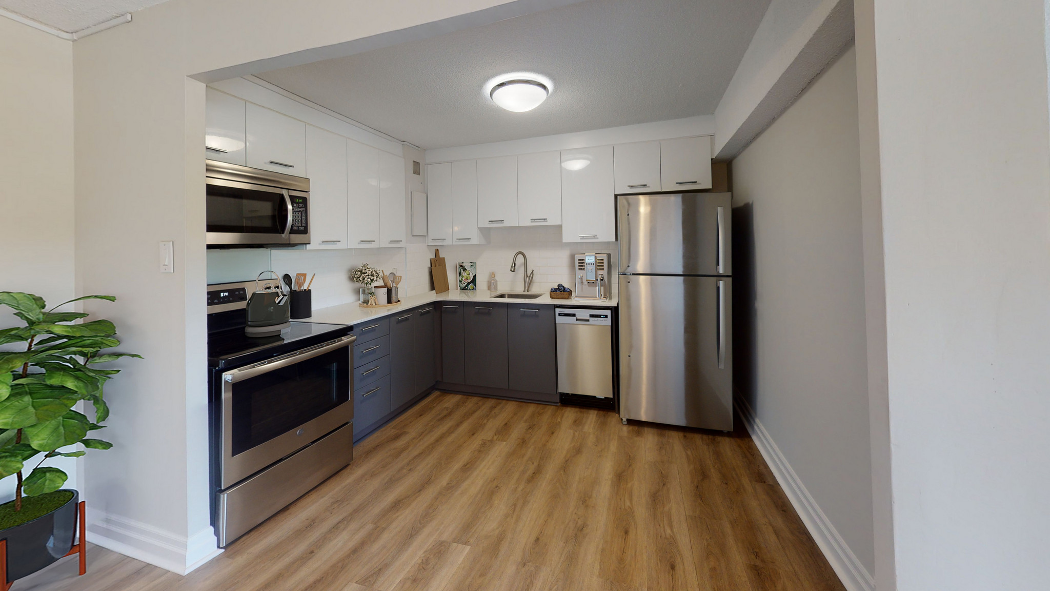 Forest Ridge - Photo 2