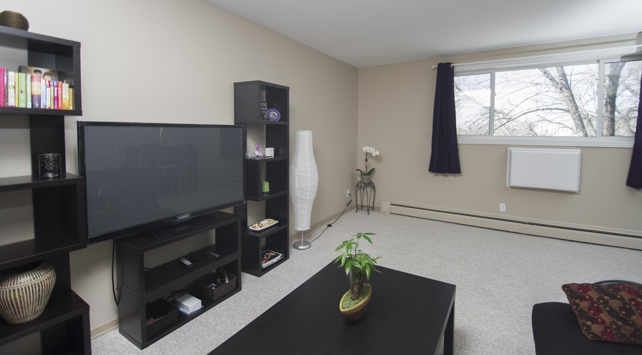 455 Leila Avenue - Photo 2