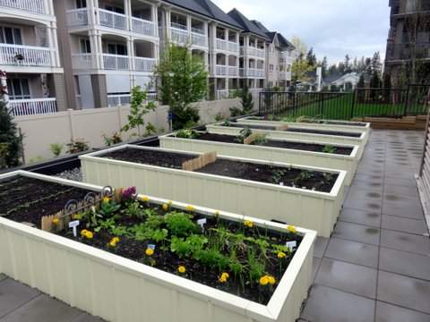 Lexington Court Apartments - Photo 19