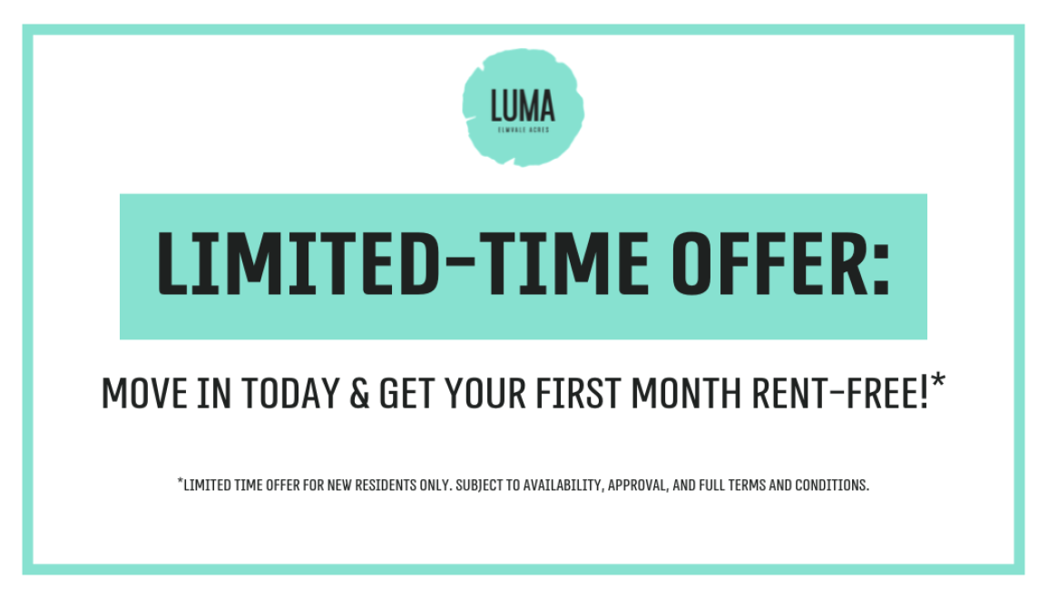 Luma - Photo 2