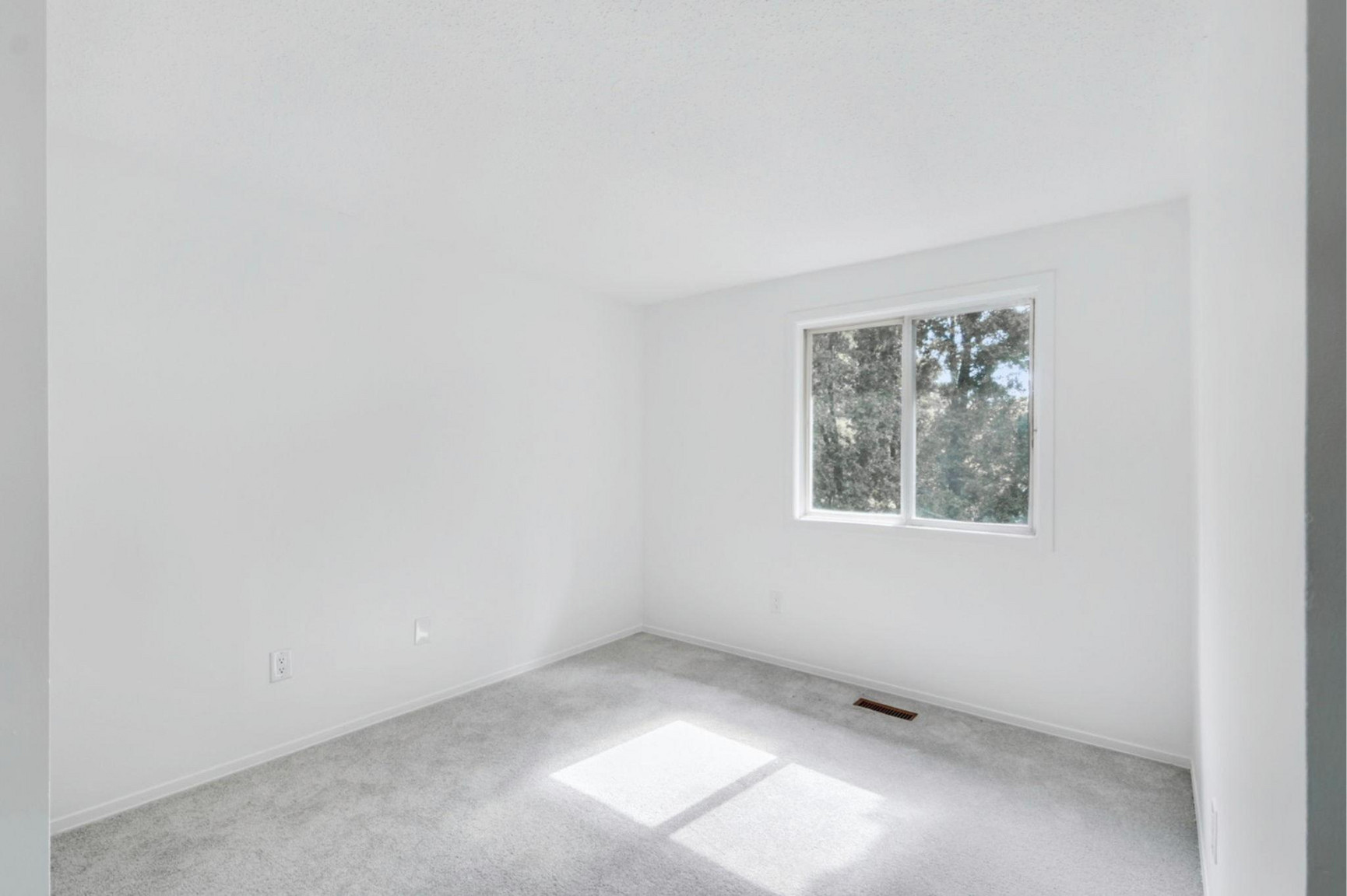 3061 Sir Johns Homestead - Photo 49