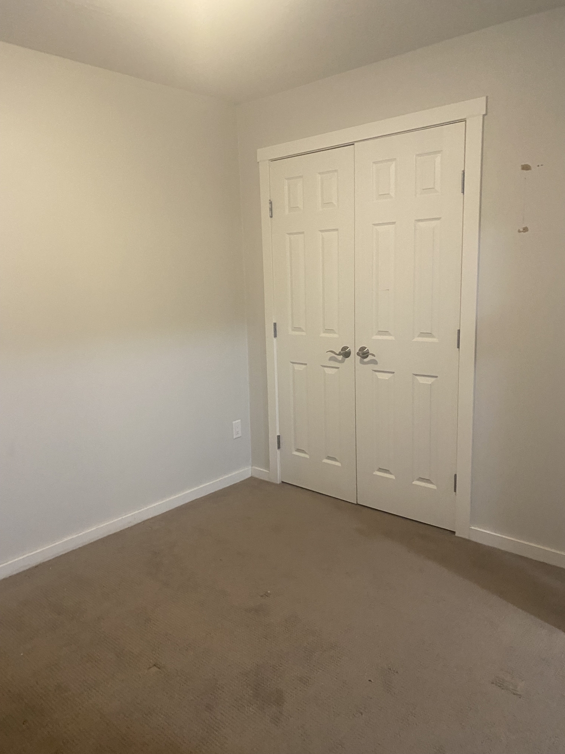 6262 Little Pine Loop - Photo 4