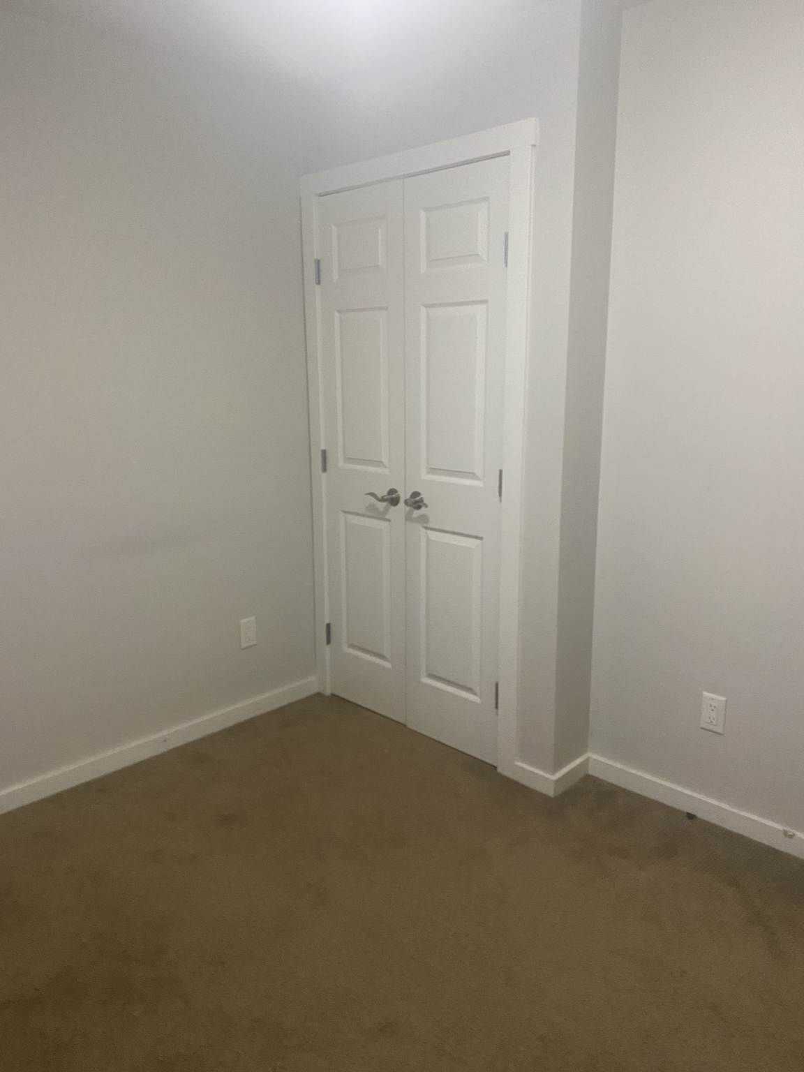 6262 Little Pine Loop - Photo 8