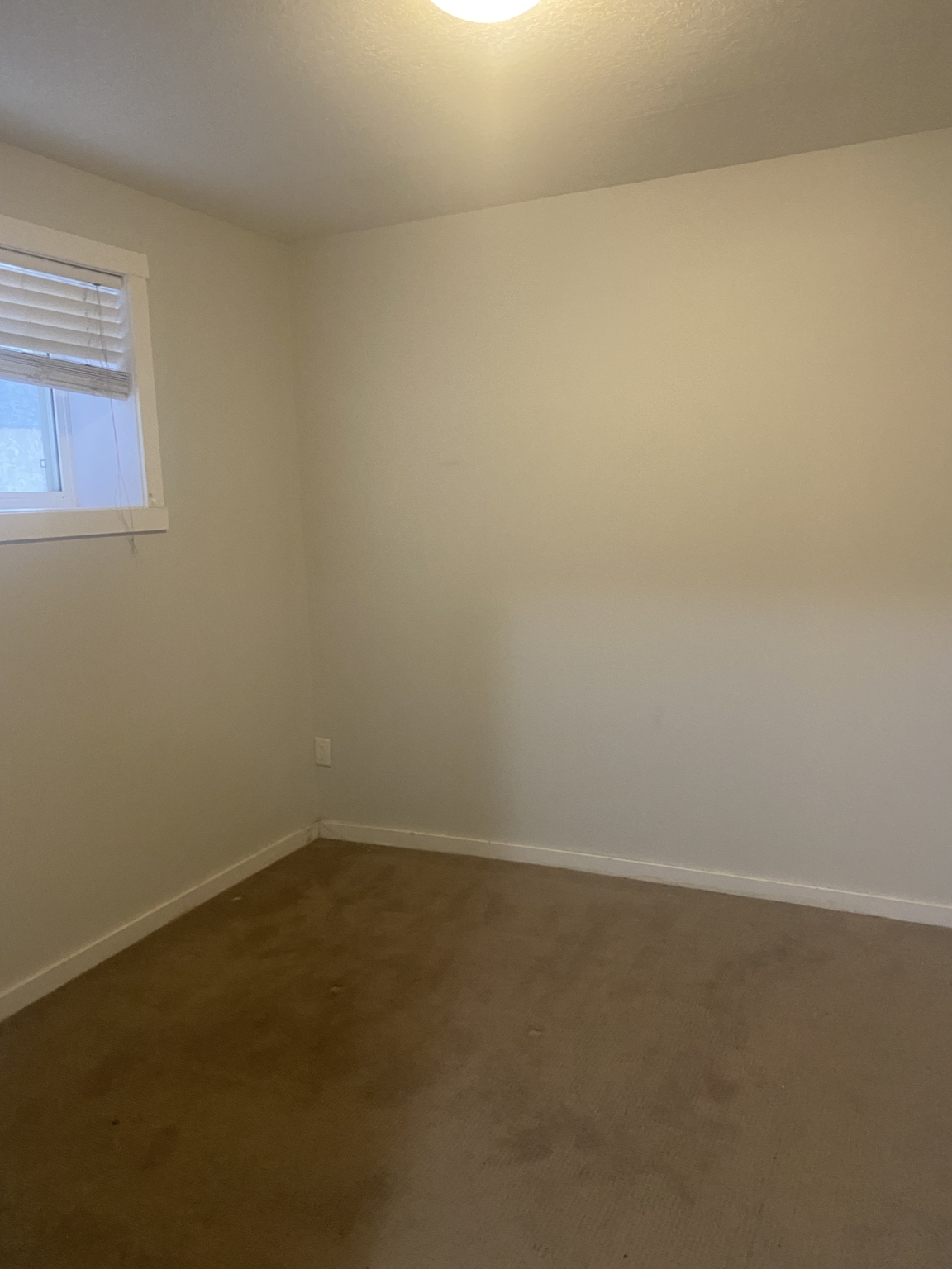 6262 Little Pine Loop - Photo 12