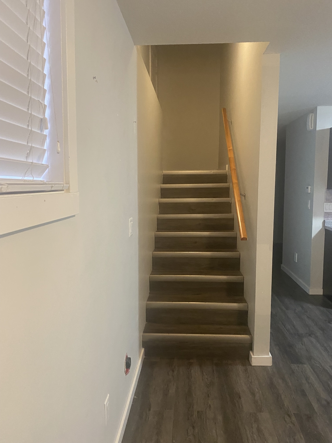6262 Little Pine Loop - Photo 14