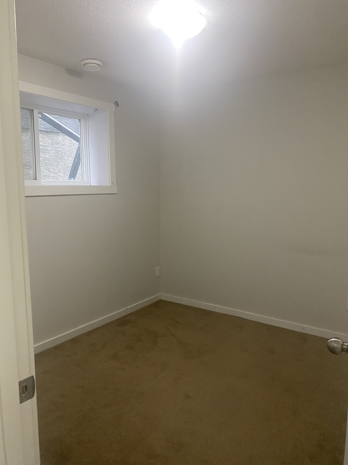 6262 Little Pine Loop - Photo 20