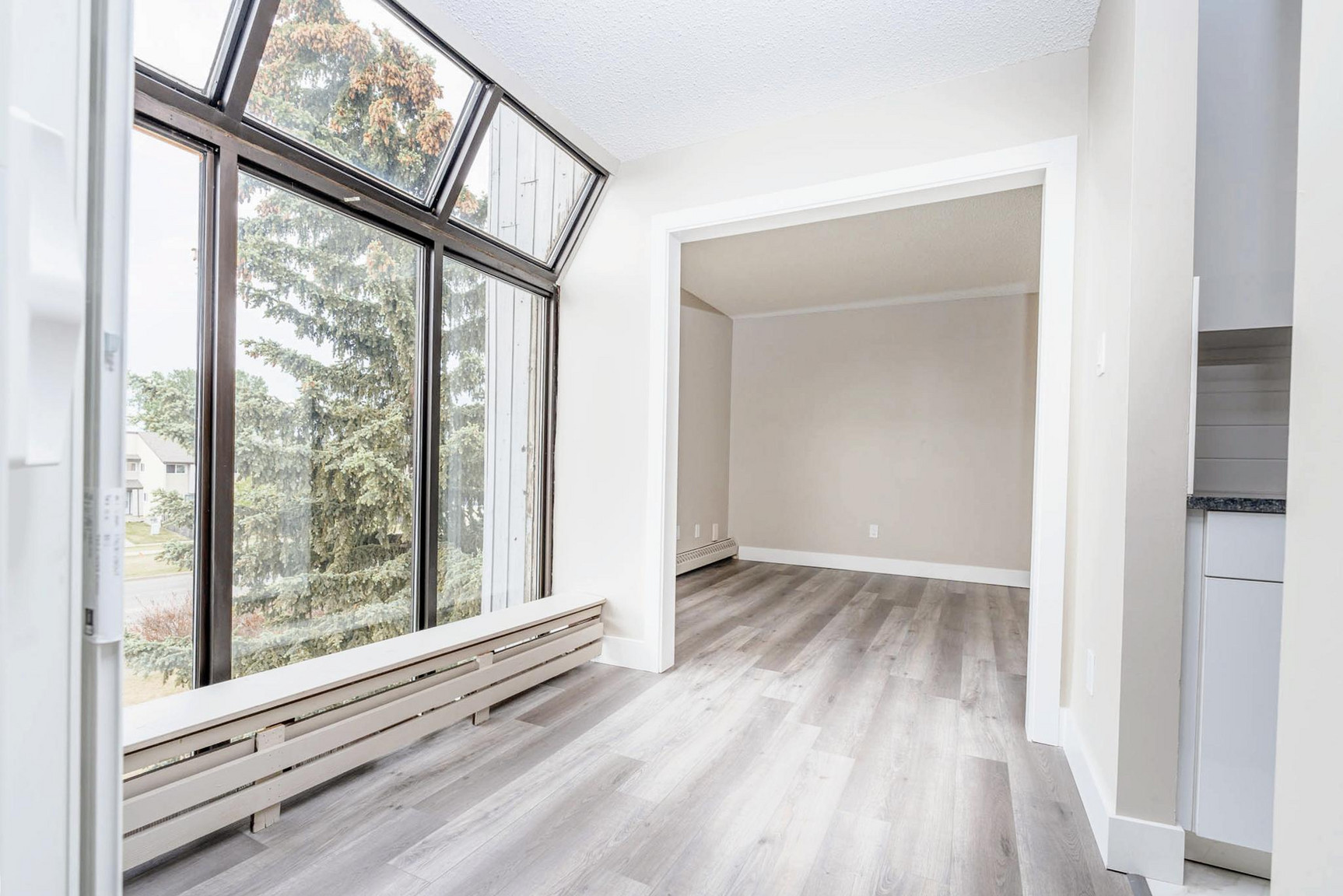 Windsor Estates - Photo 4