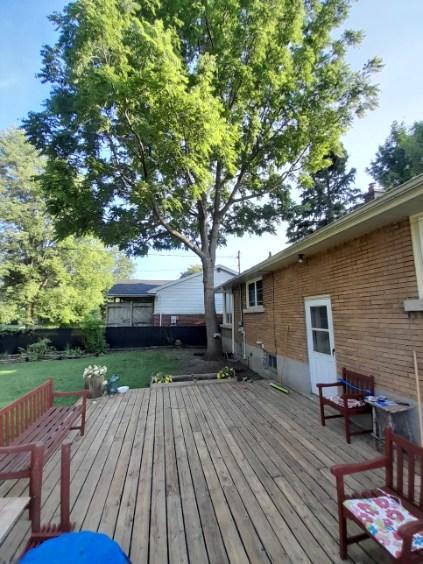 159 McMichael Street - Photo 24