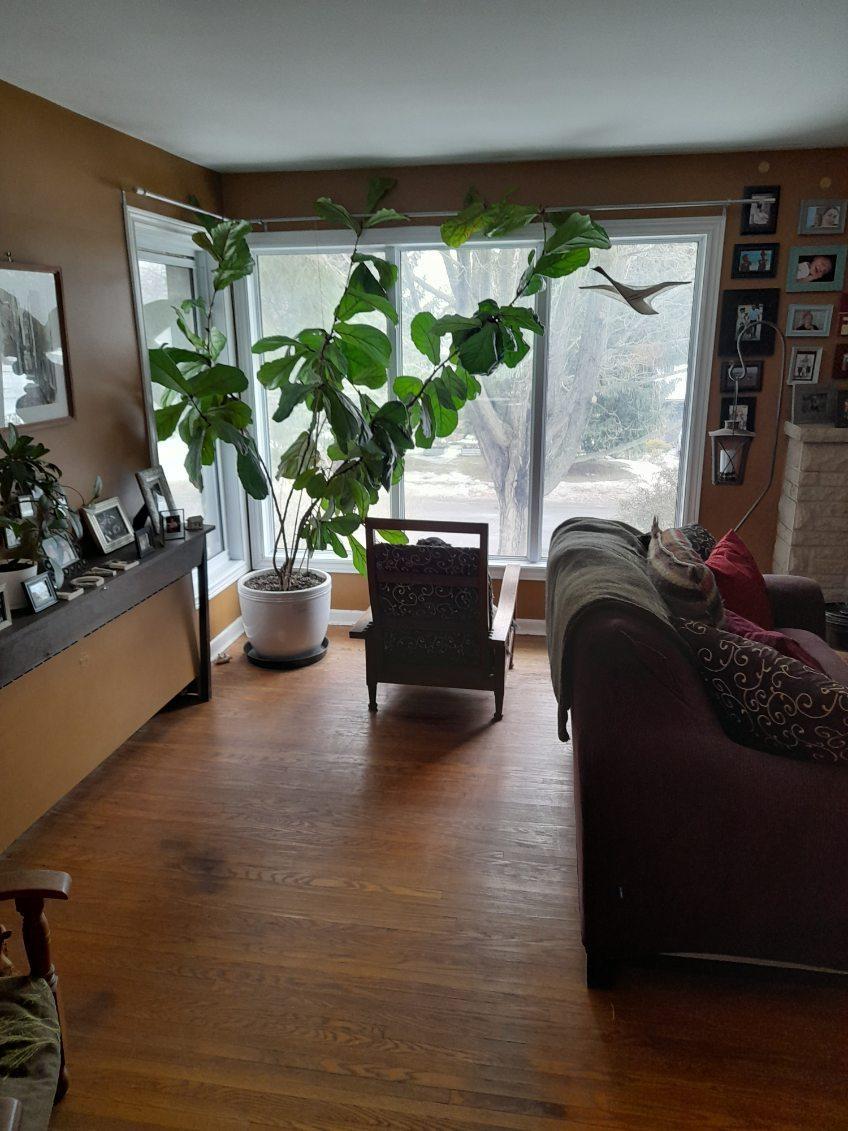 159 McMichael Street - Photo 12