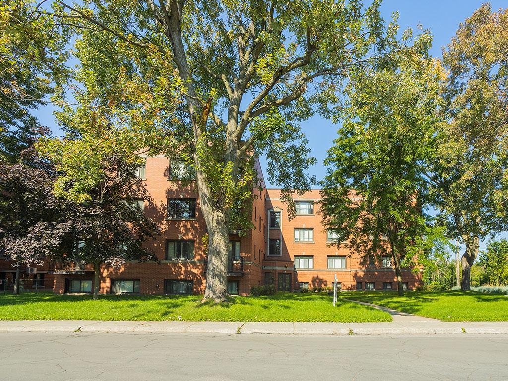 7 Av. Roosevelt - Photo 61