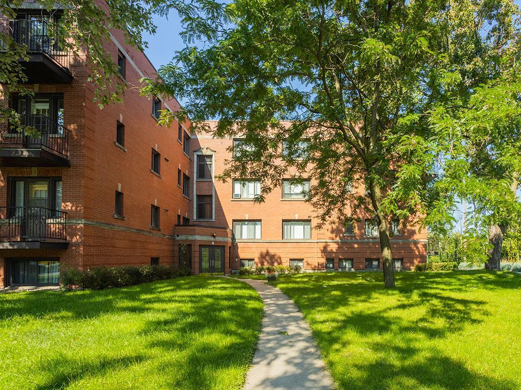 Apartment for rent Royal Mount 5147705073 Lofts MTL