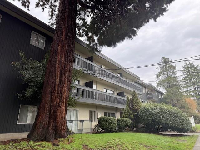 Alderwood - 43 E 15th Avenue, Vancouver BC 