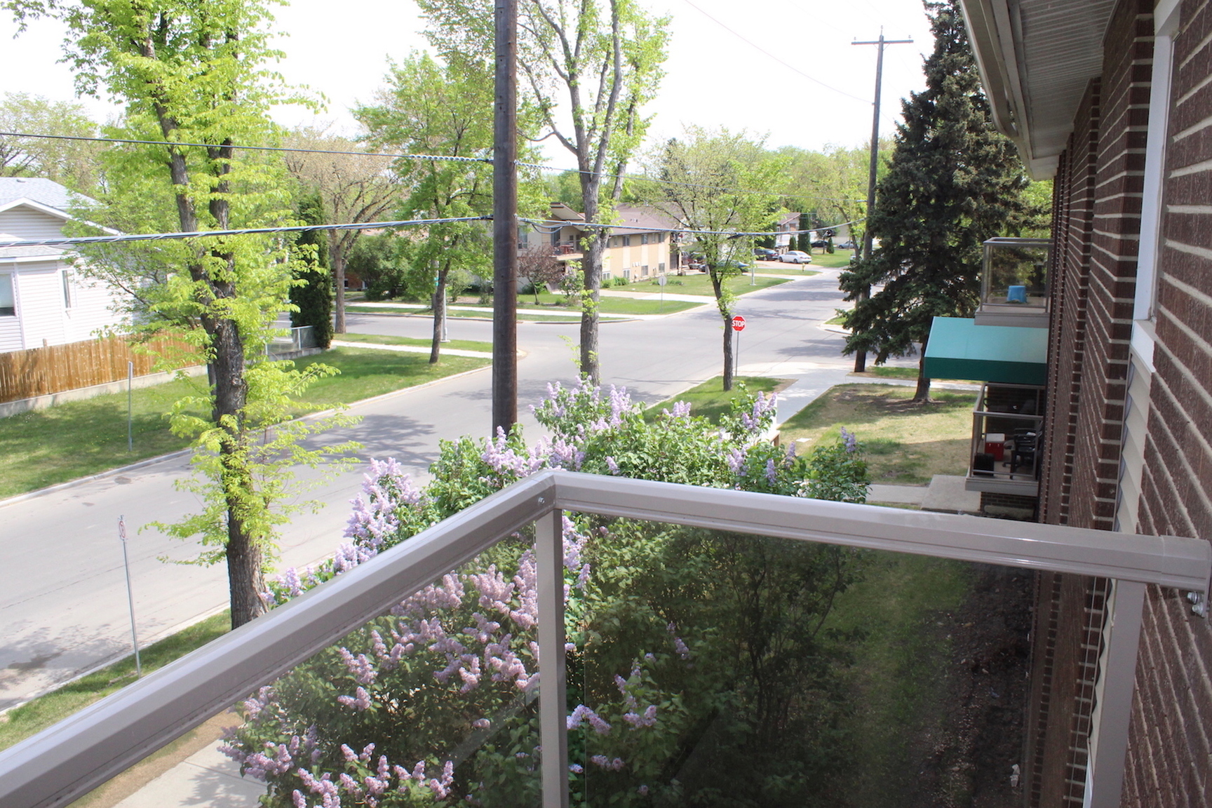 Willow Apartments - Photo 15