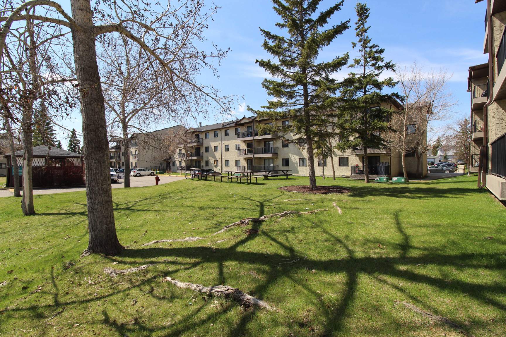 Falconcrest Village - Photo 19