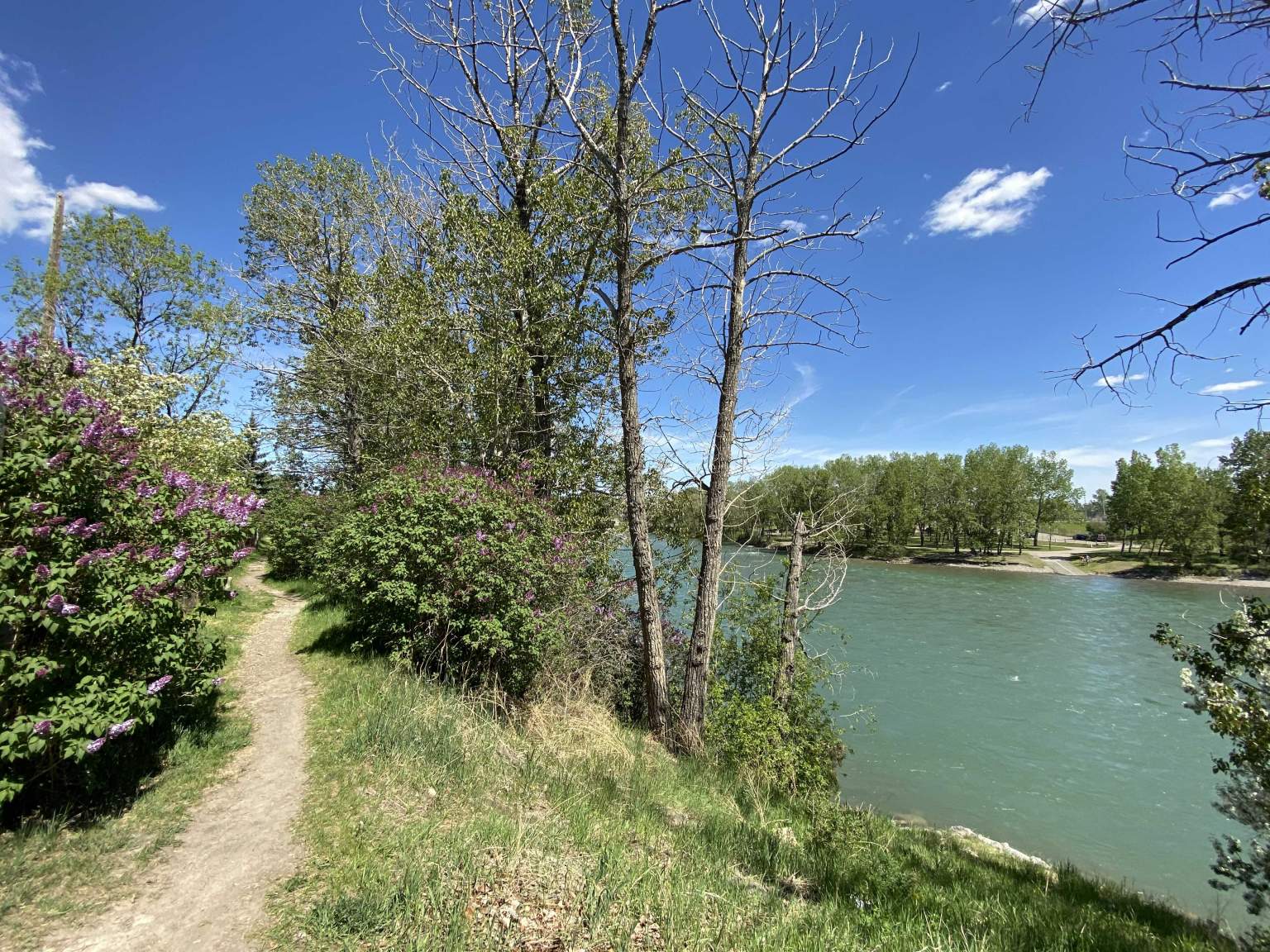 Bow River Townhomes - Photo 21