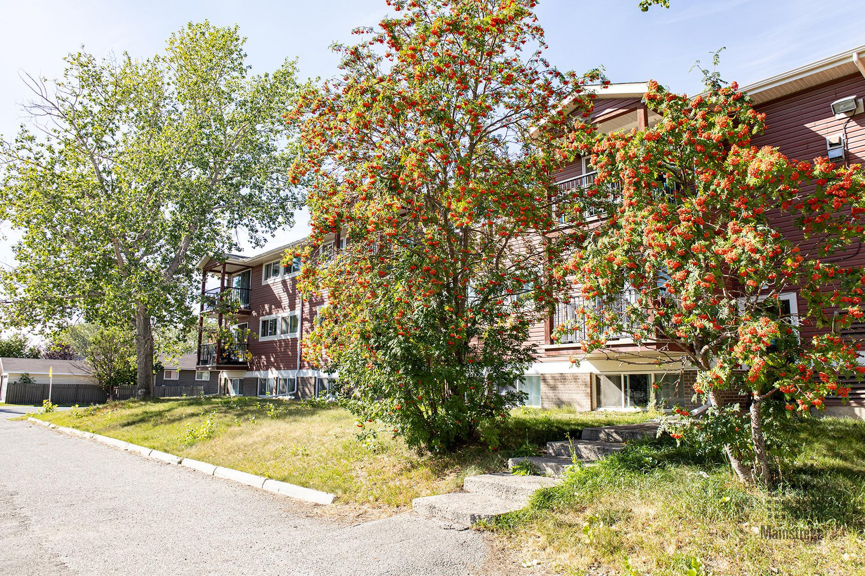 Airdrie Meadows - Photo 24