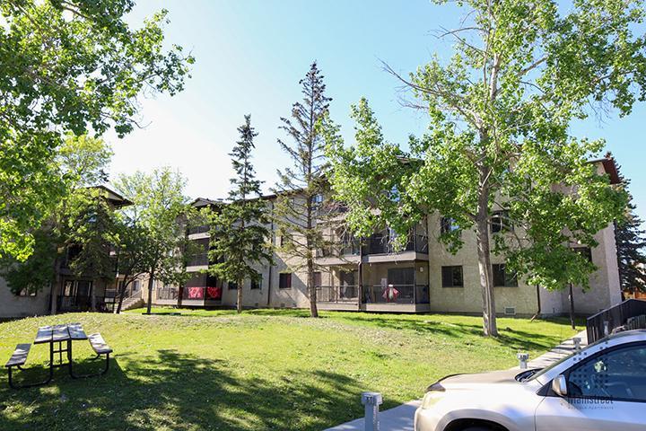 Falconcrest Village - Photo 24