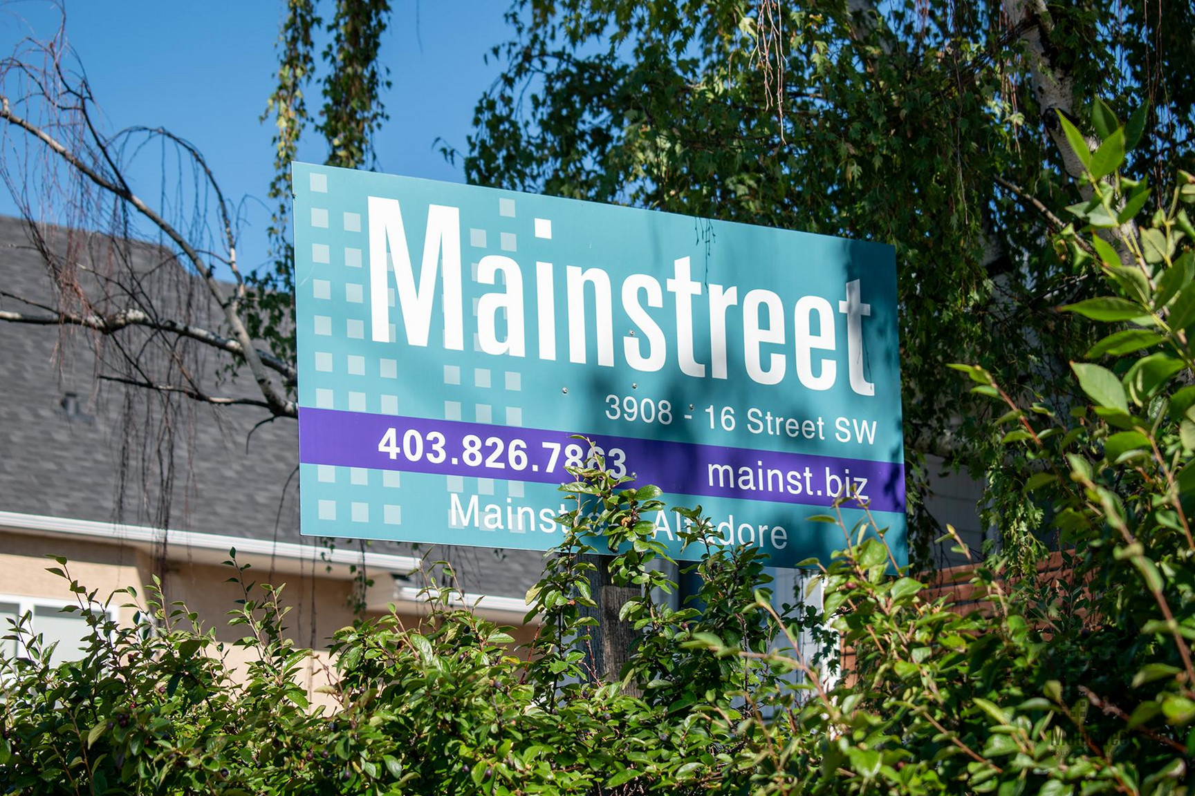 Mainstreet Altadore - Photo 8