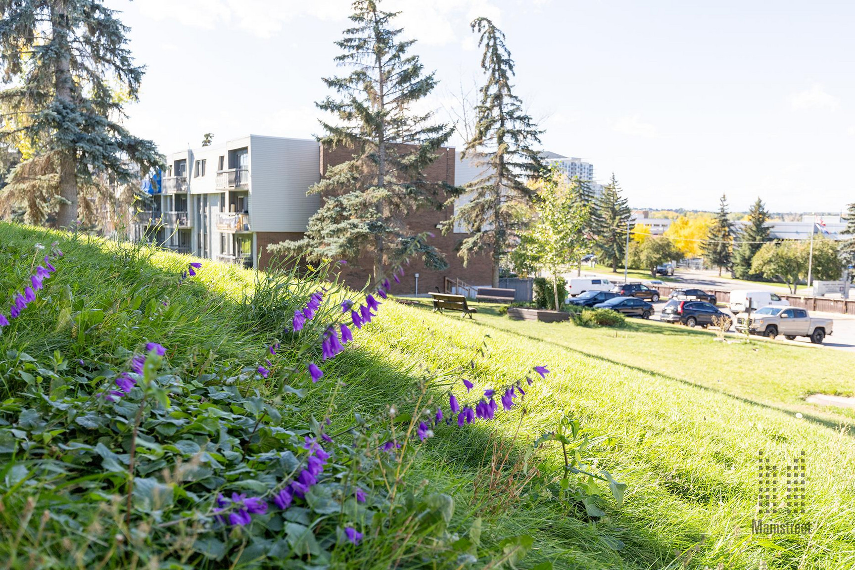 Bonaventure Apartments - Photo 12