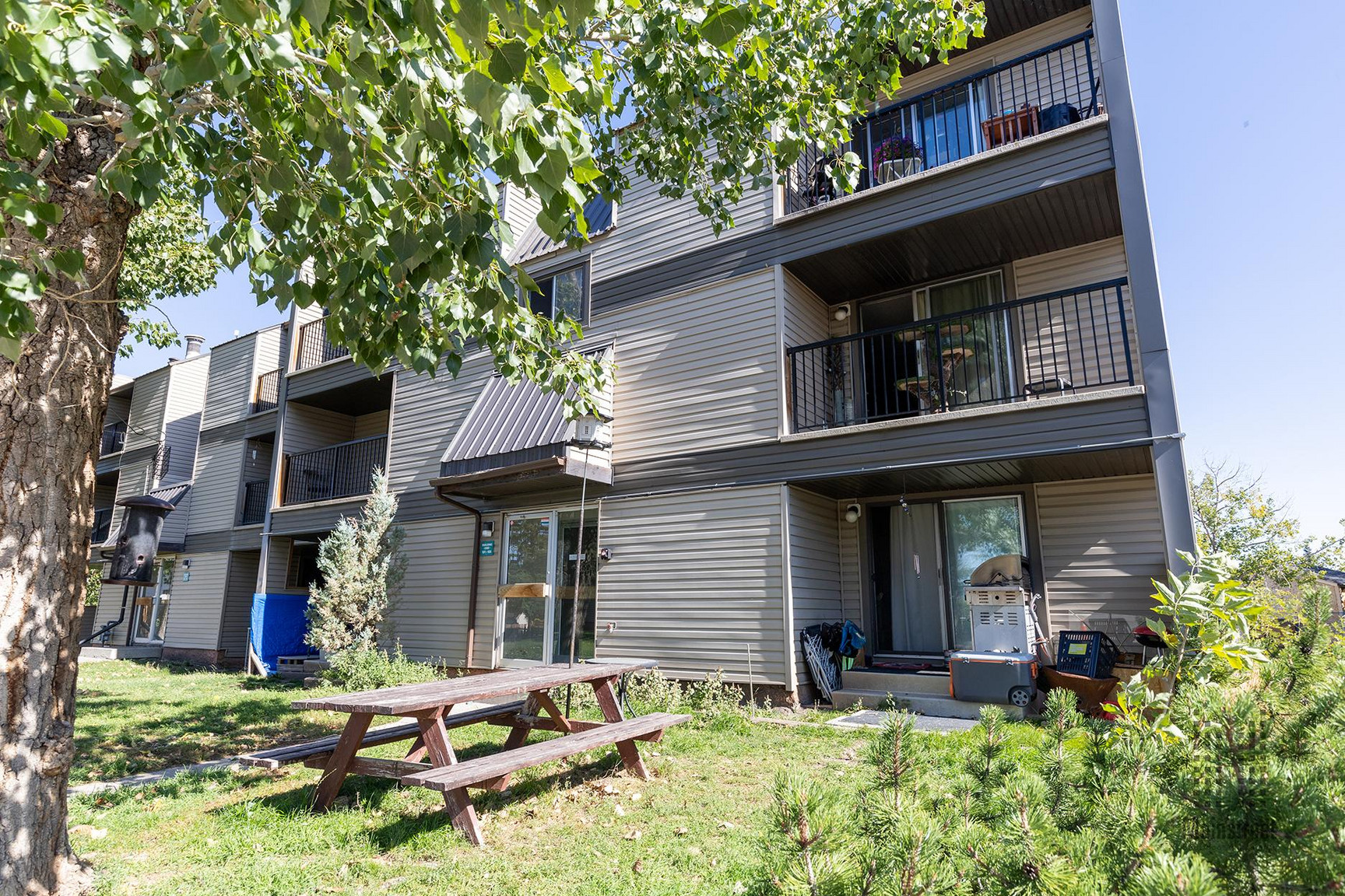 Windsor Green - Photo 10