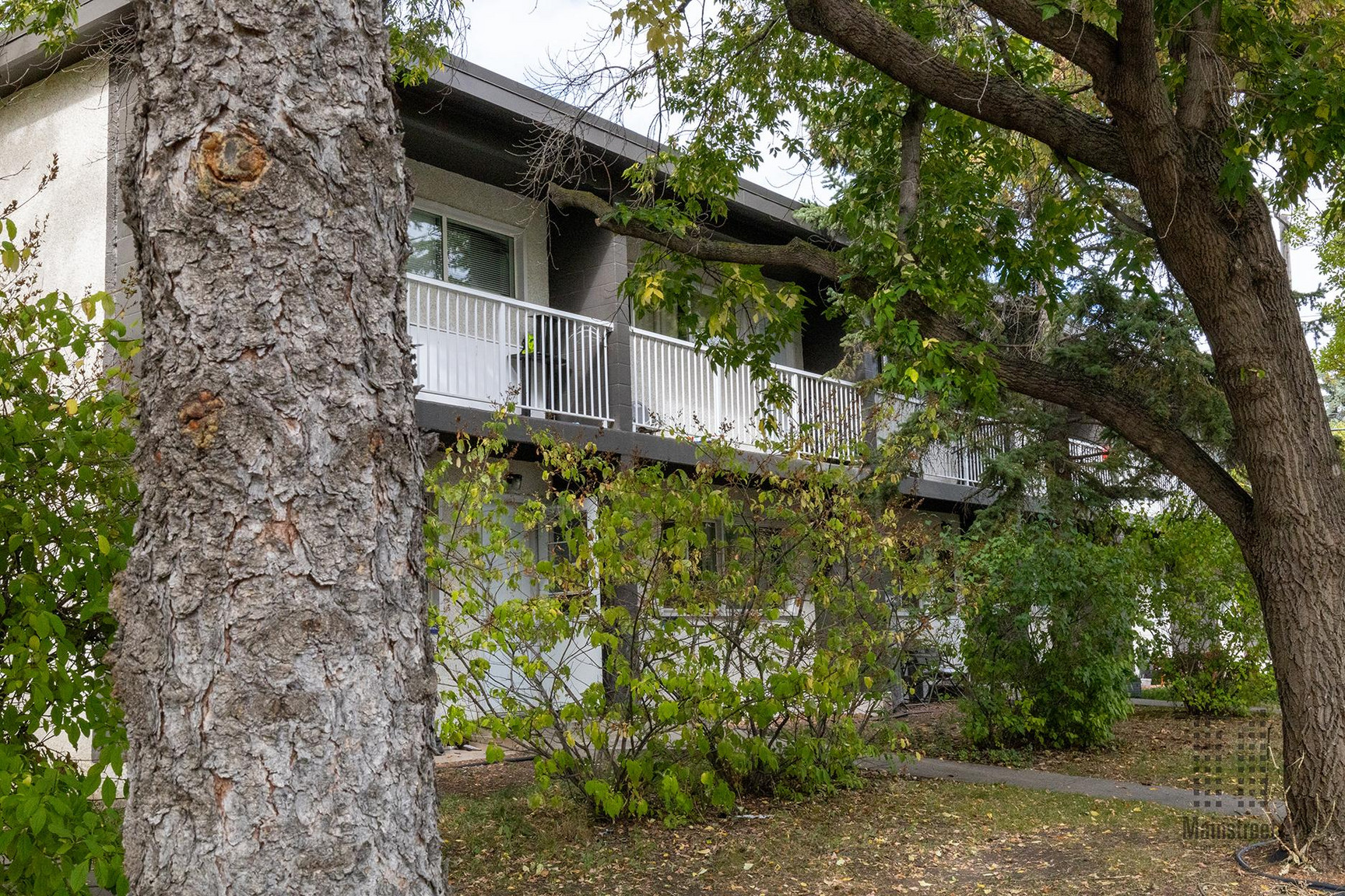 Wellington Park Townhomes - Photo 14