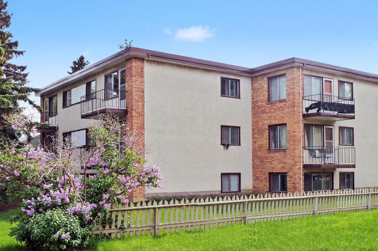 Jasmine Court - Photo 2
