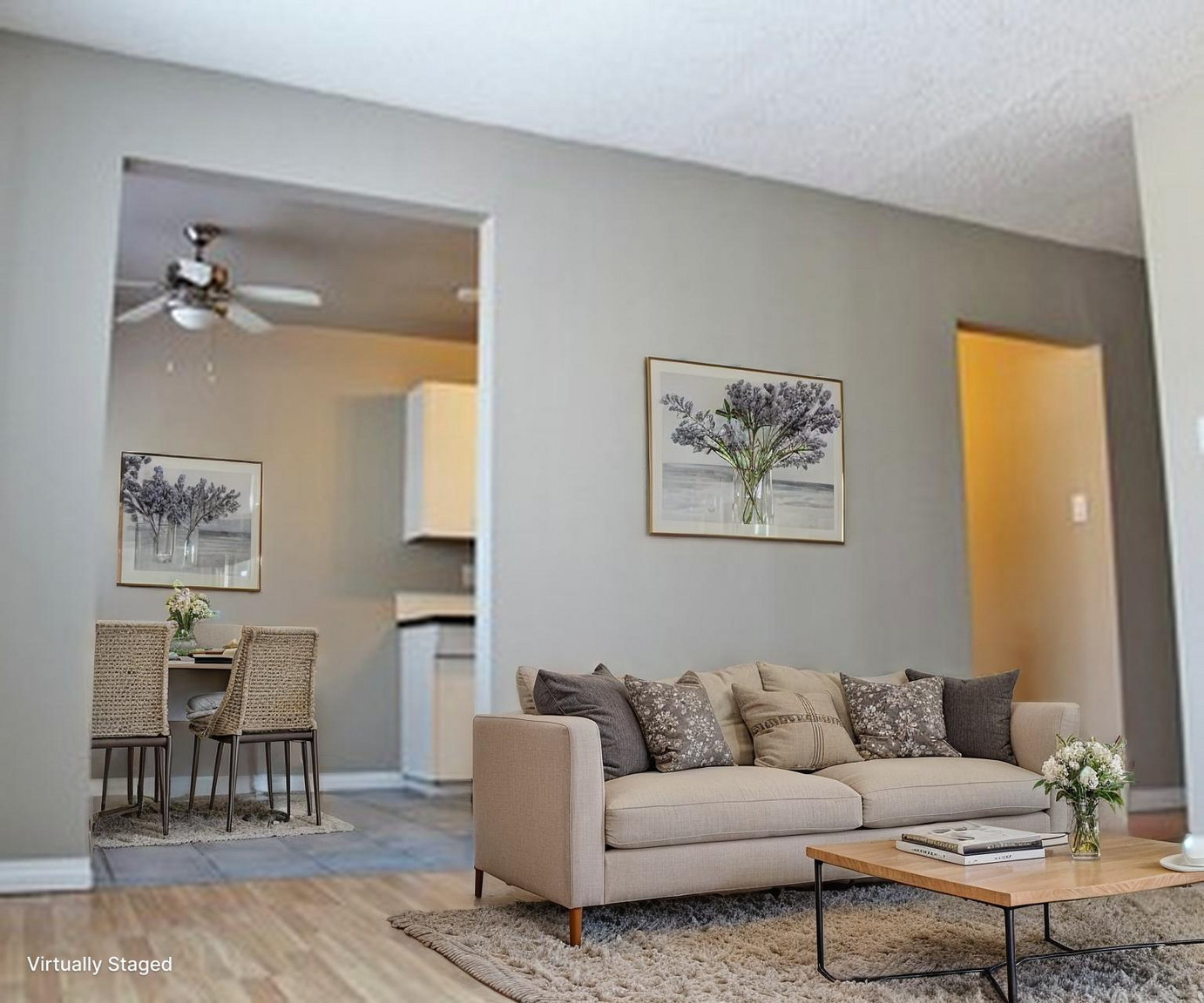 Alexander Apartments - Bachelor 2