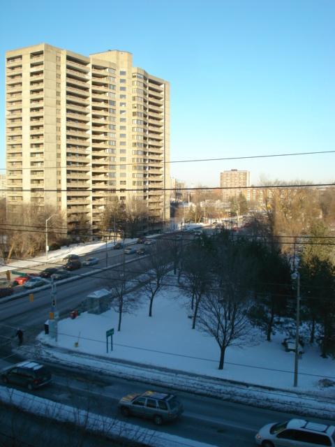 Crystal View Manor - Photo 16