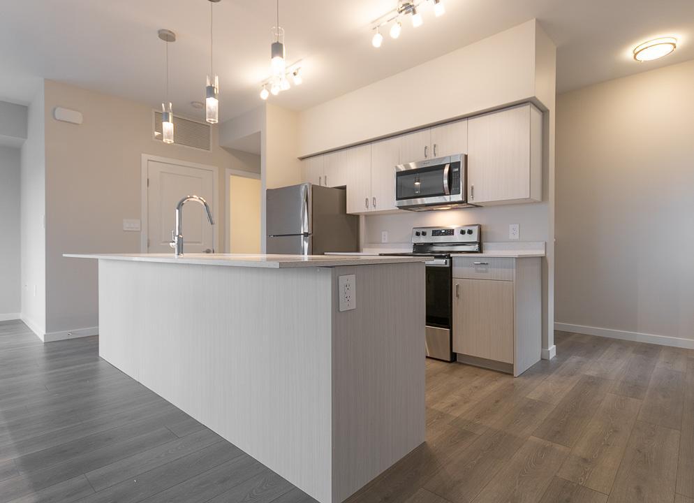 Element Townhomes in Prairie Pointe - Photo 66
