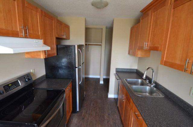 Maple Leaf Court - Photo 12