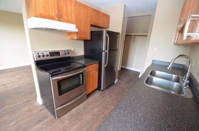 Maple Leaf Court - Photo 11