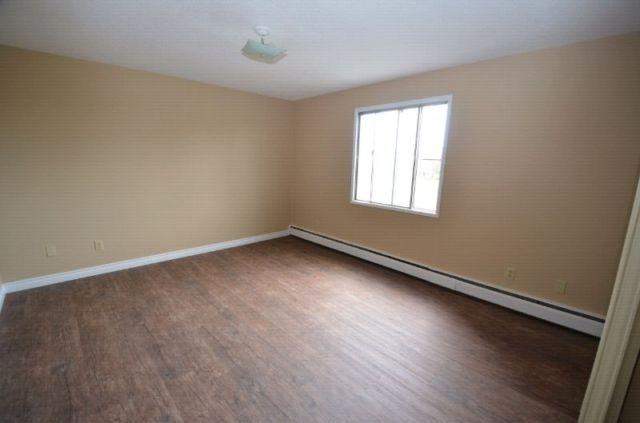 Maple Leaf Court - Photo 9