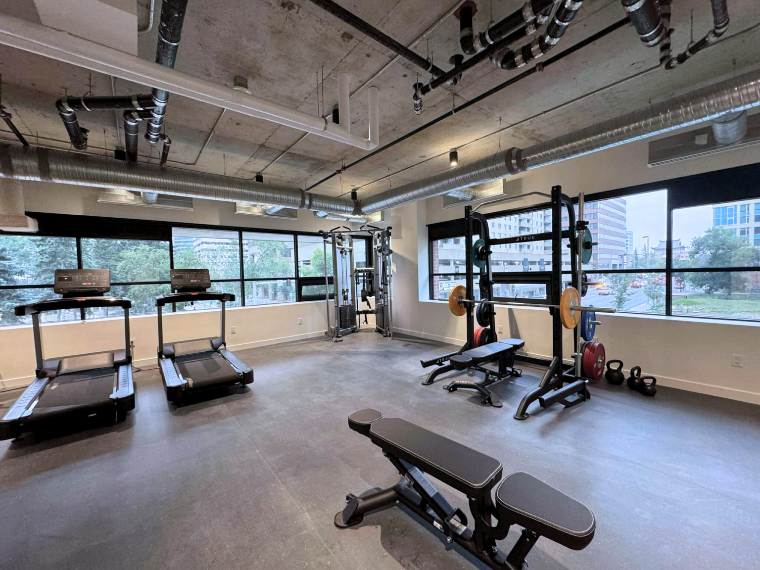 The Loft - Photo 17