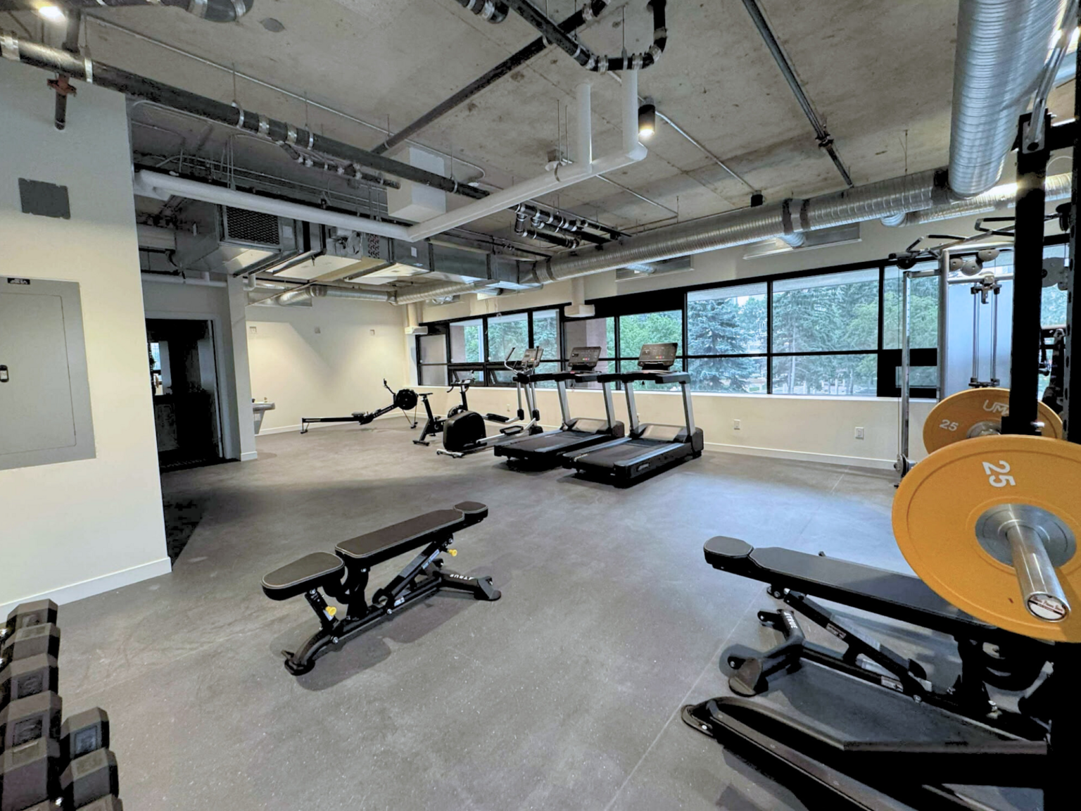 The Loft - Photo 15