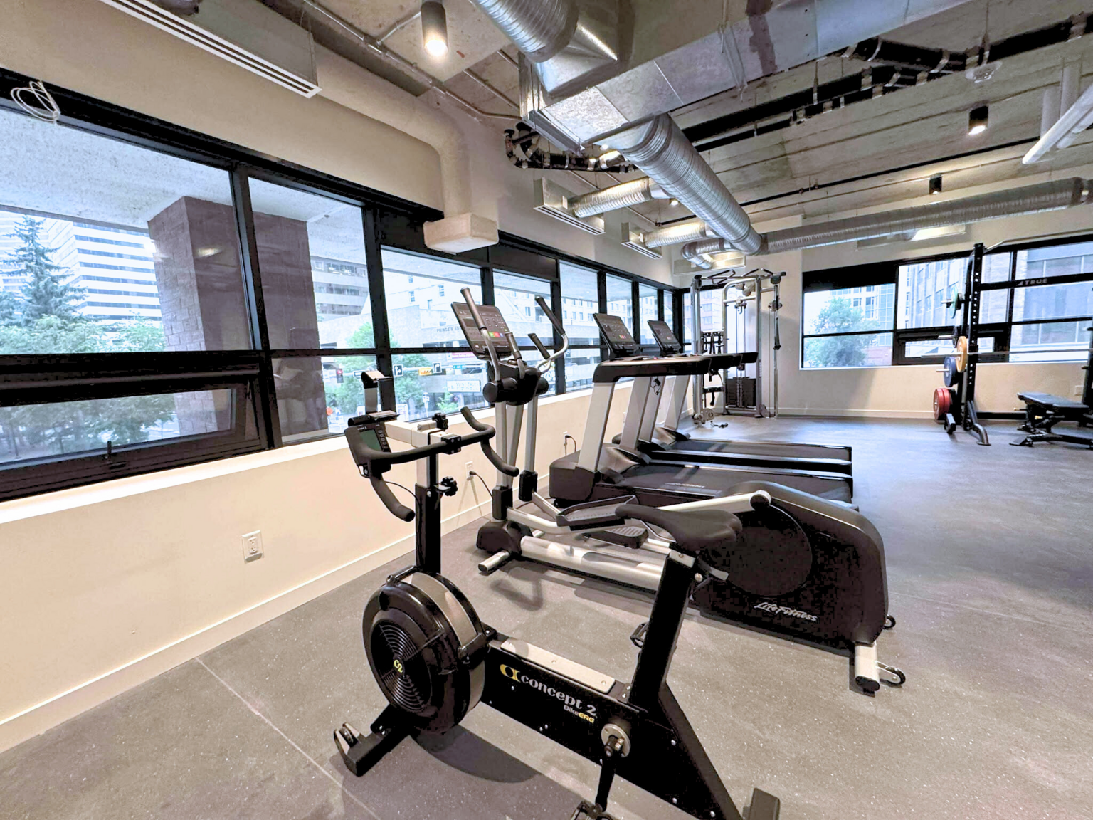 The Loft - Photo 21