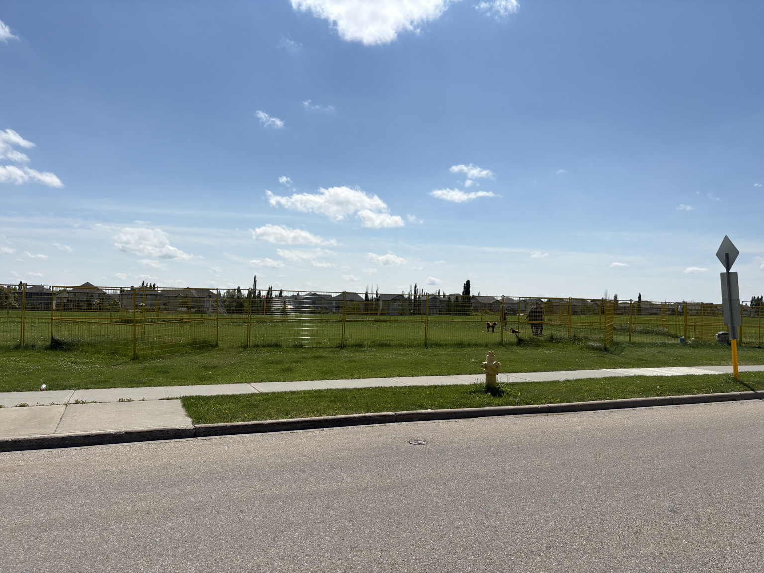 South Terwillegar Drive SW - Photo 12