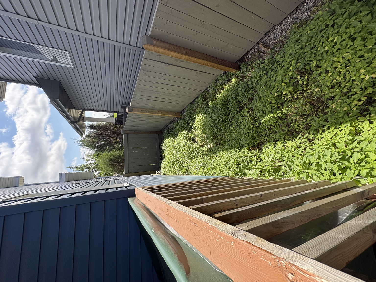 South Terwillegar Drive SW - Photo 32