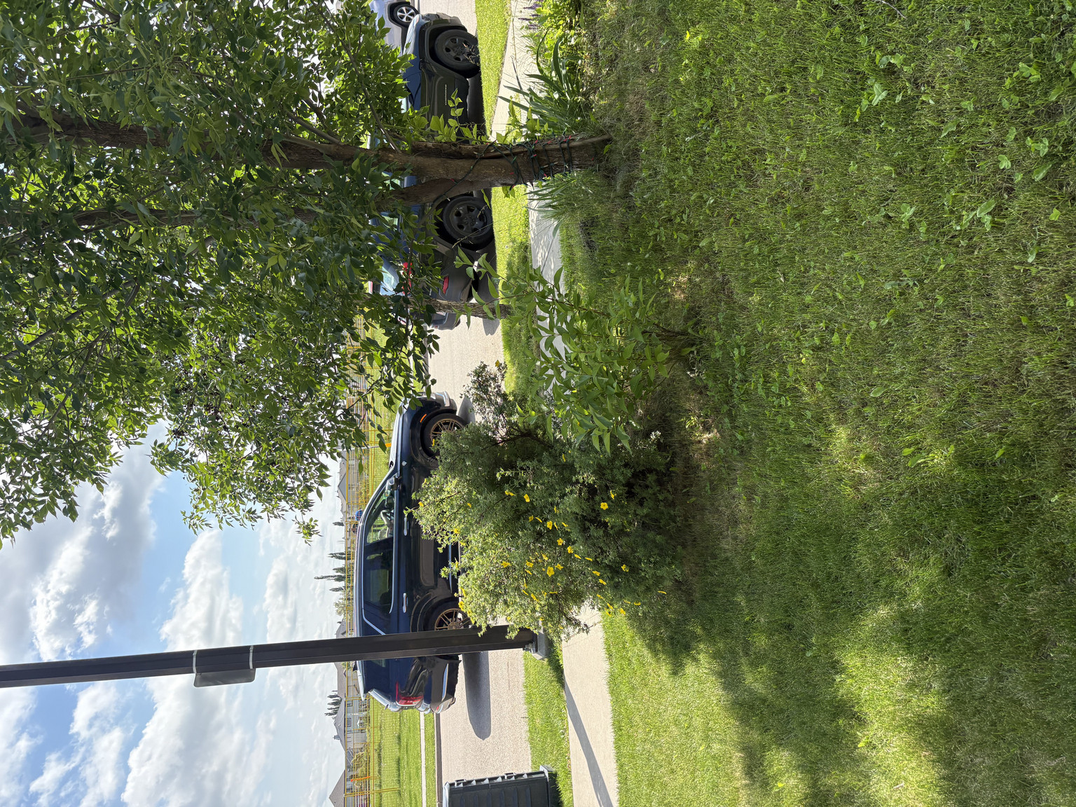 South Terwillegar Drive SW - Photo 142